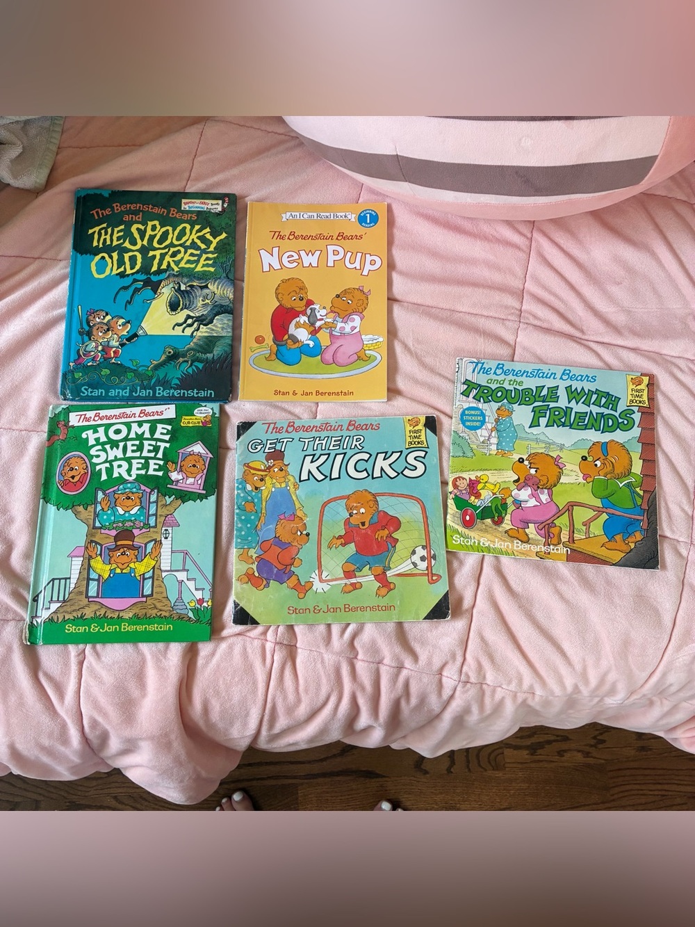 The Berenstein Bears children’s book bundle